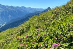 NZ_Bergleute_Golm-69